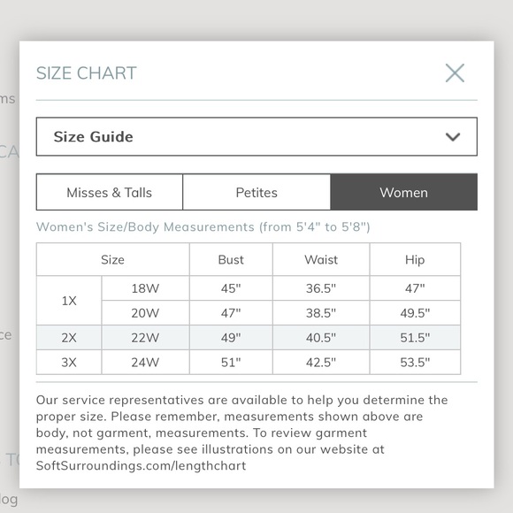 New Soft Surroundings Size 3X Mirielle Floral Embroidered Tunic Beachy Boho - Picture 9 of 9